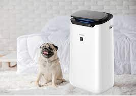 Sharper Image Air Purifiers: Reviewed